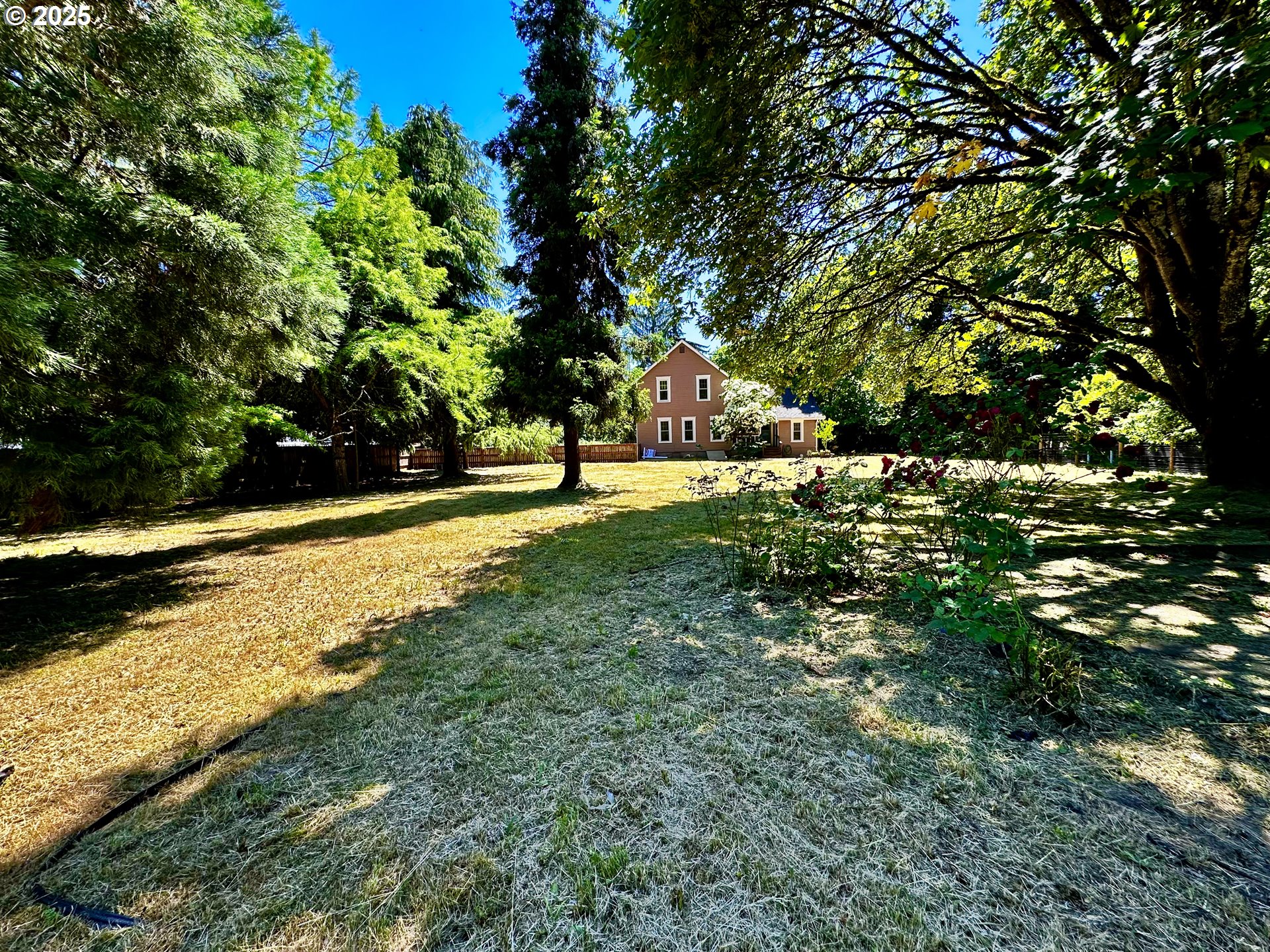 2453 Highway 20 Albany, OR 97321 - Photo 43 of 47 a view of yard with large trees and plants