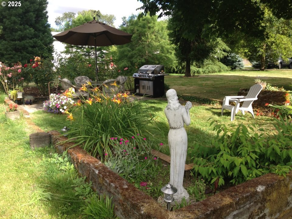 2453 Highway 20 Albany, OR 97321 - Photo 45 of 47 a garden view with a seating space