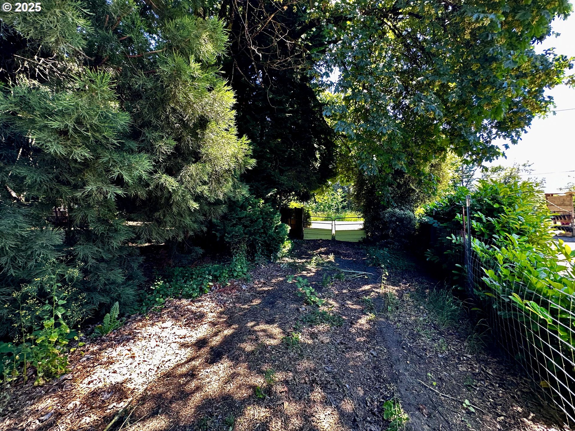 2453 Highway 20 Albany, OR 97321 - Photo 46 of 47 a view of a park that has large trees