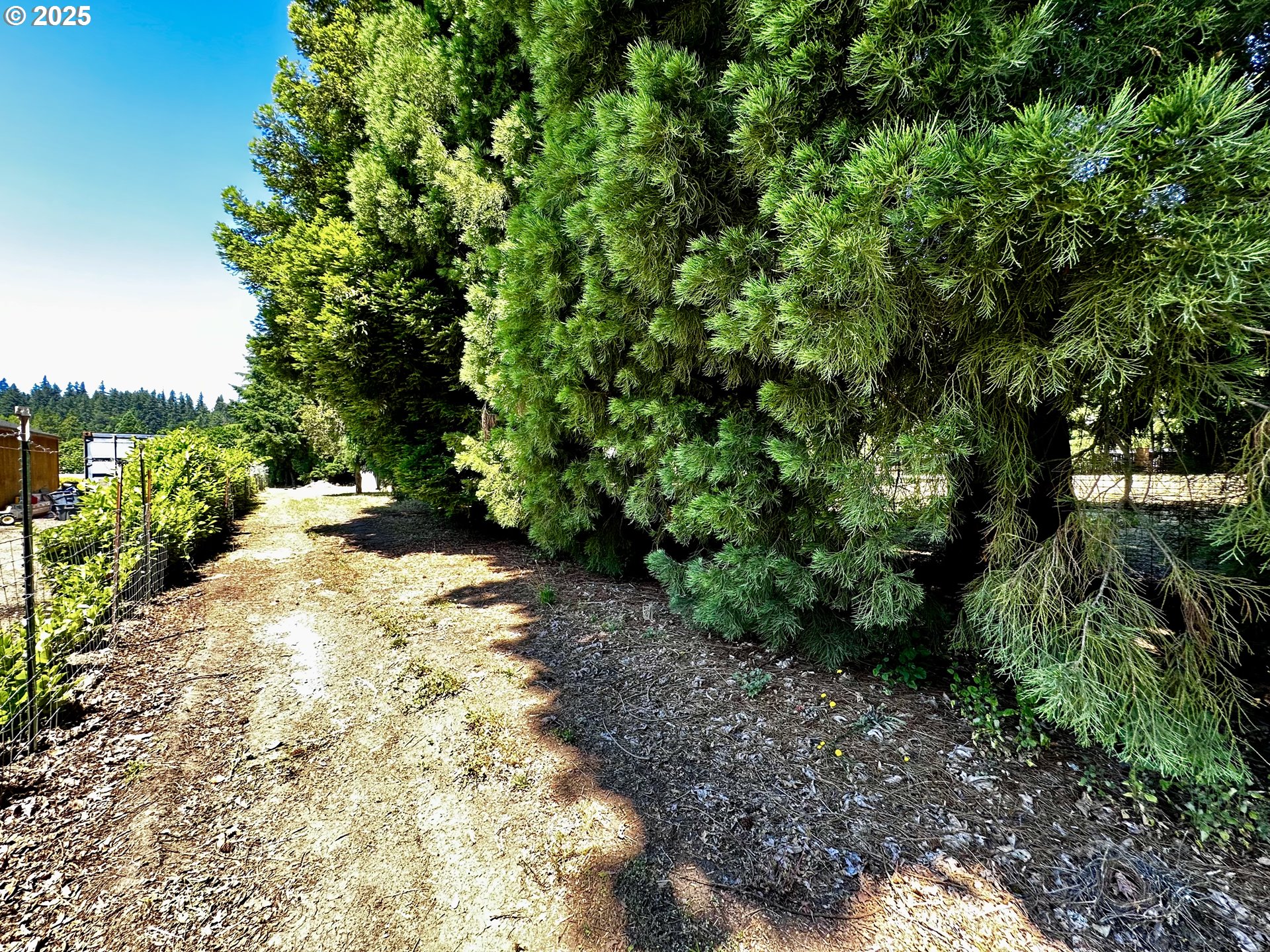 2453 Highway 20 Albany, OR 97321 - Photo 47 of 47 a pathway of a yard