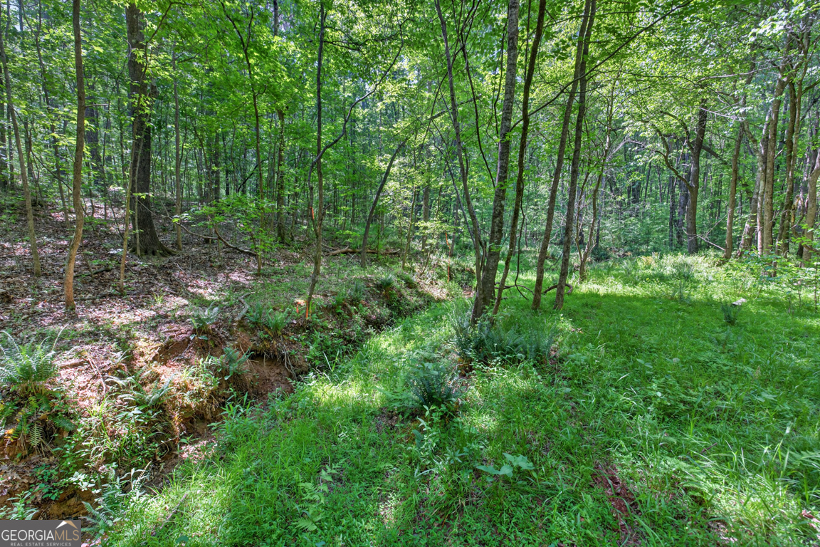 1270 Perryman Road Buckhead, GA 30625 - Photo 83 of 129