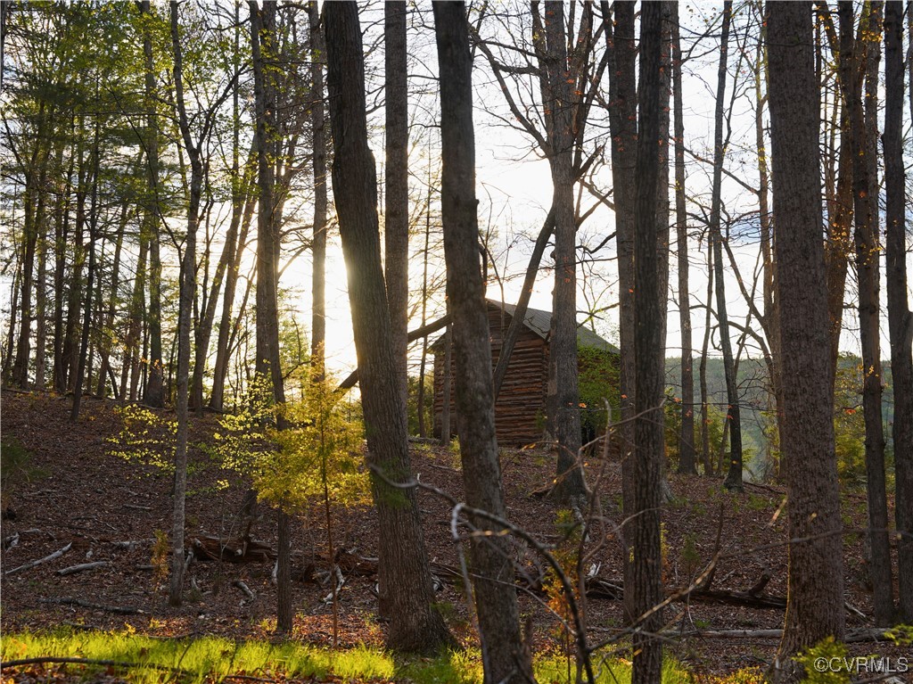 2632 Paisley Road Gretna, VA 24557 - Photo 23 of 49 a view of a forest