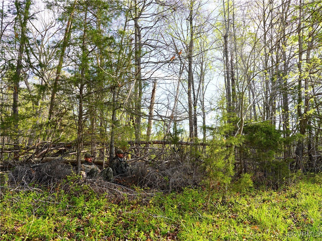 2632 Paisley Road Gretna, VA 24557 - Photo 30 of 49 a view of a garden