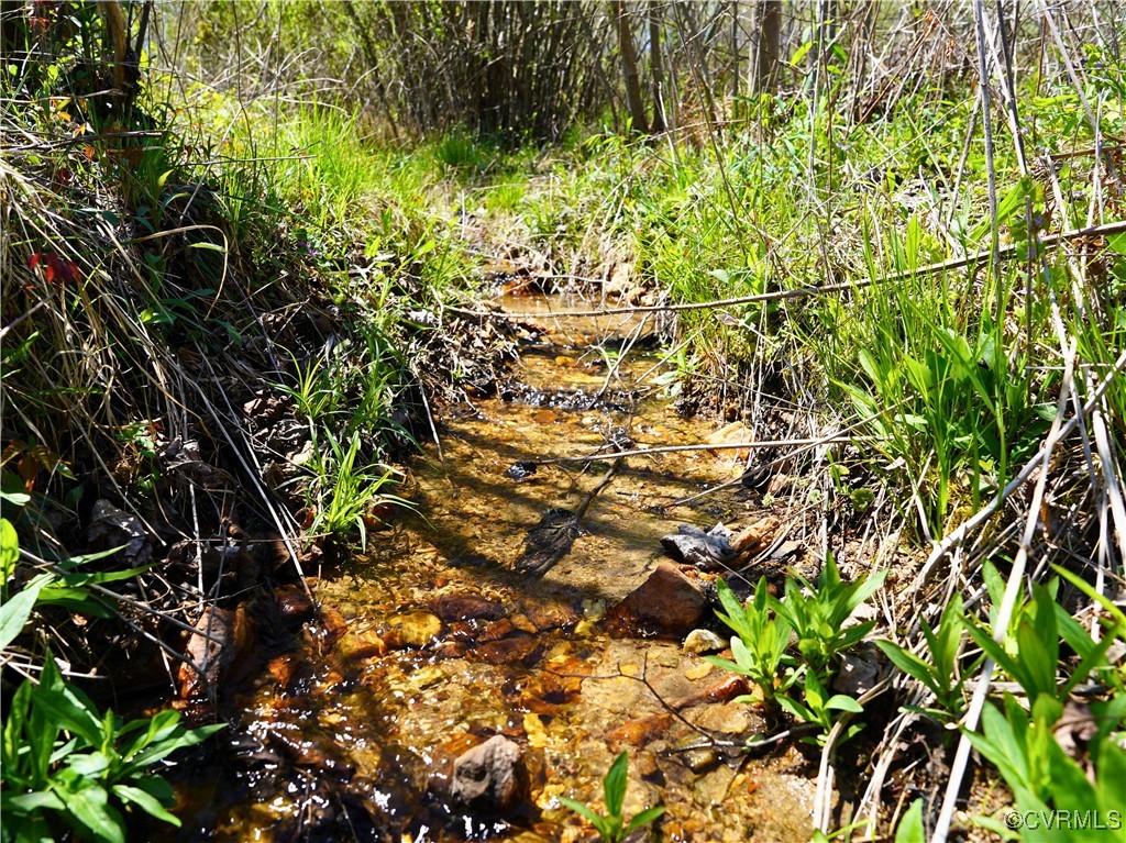 2632 Paisley Road Gretna, VA 24557 - Photo 36 of 49 a view of outdoor space with a tree