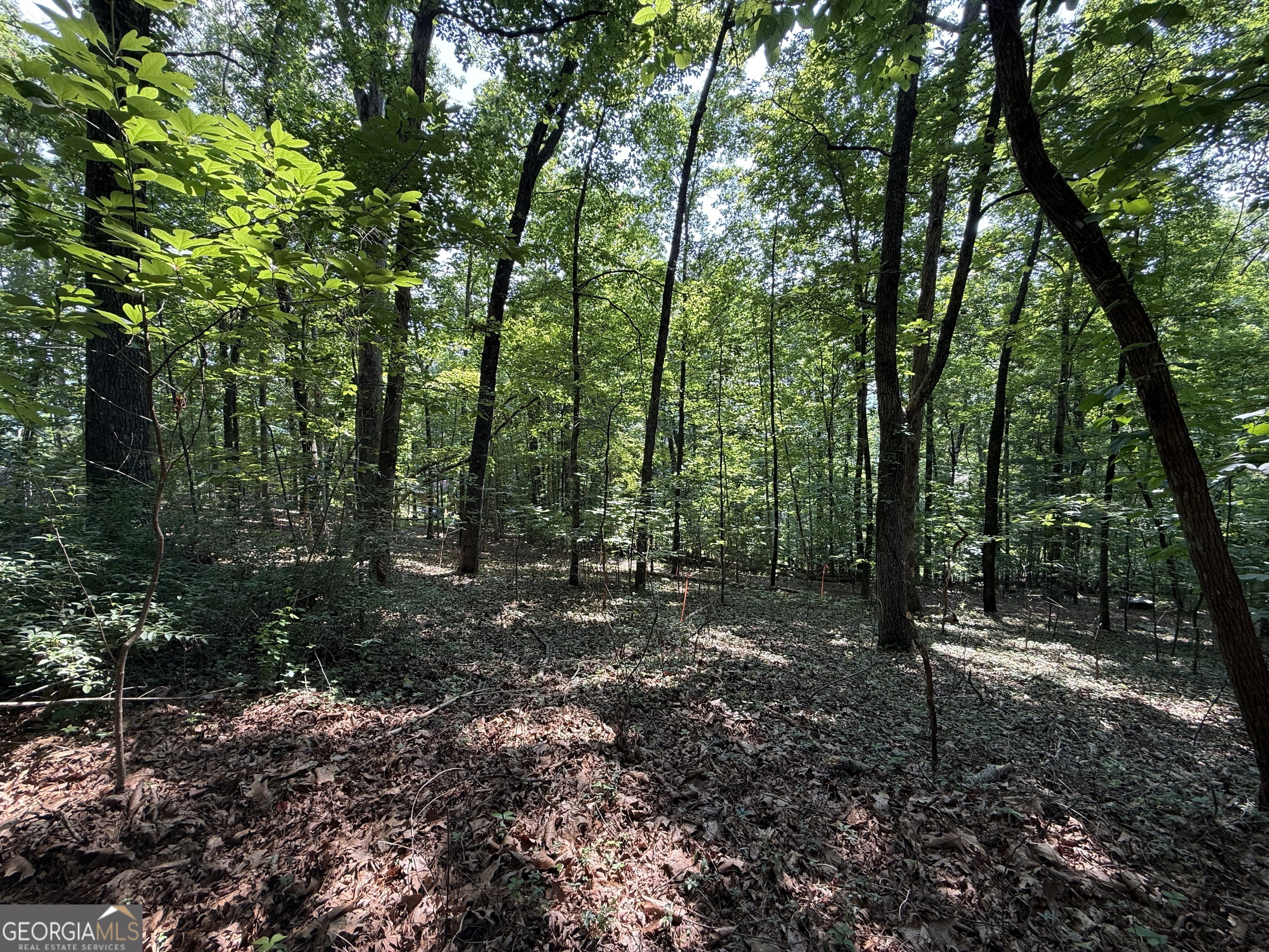 248 Ledford Chapel Road Hayesville, NC 28904 - Photo 23 of 24
