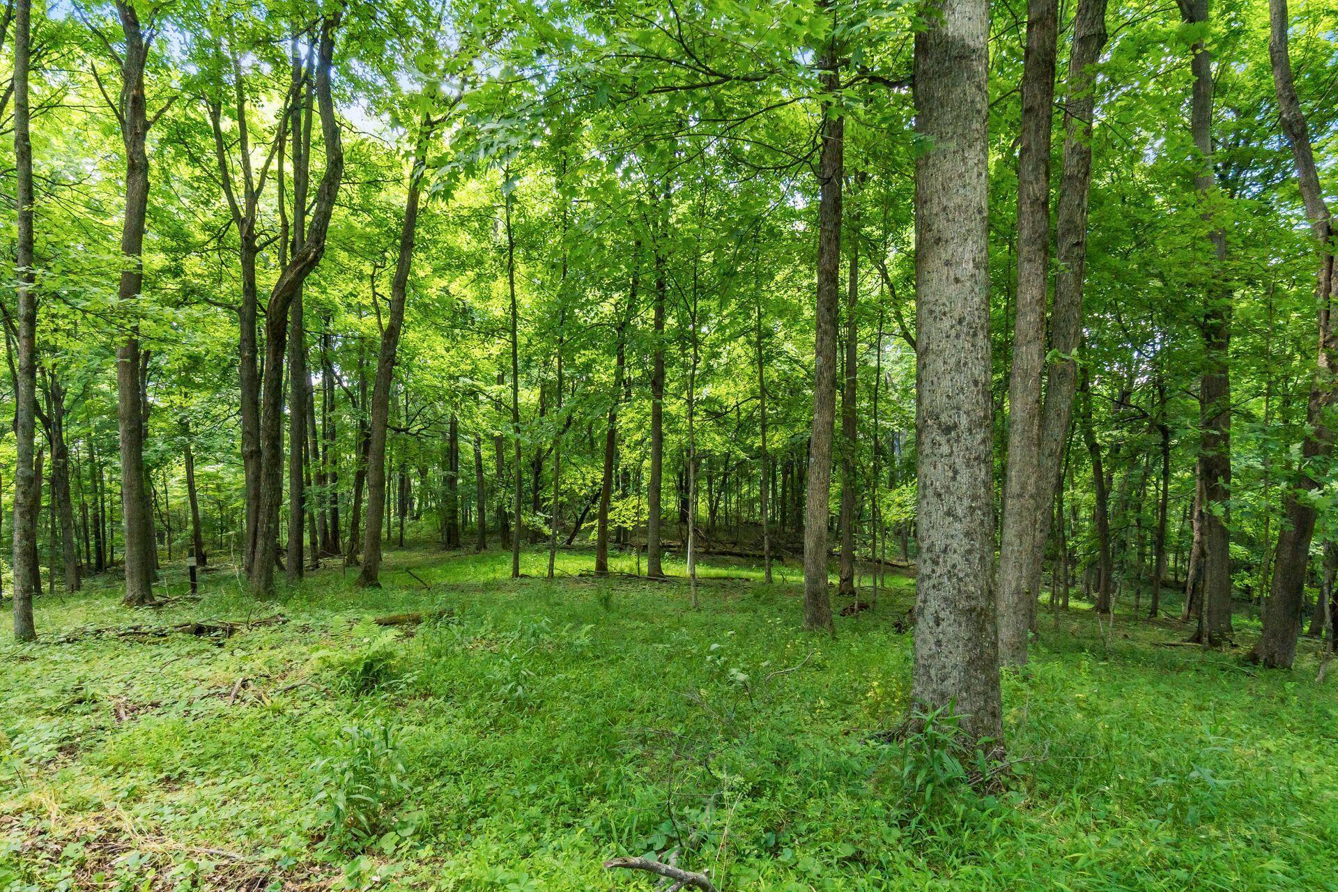 13807 Marshall Road Rockbridge, OH 43149 - Photo 18 of 33