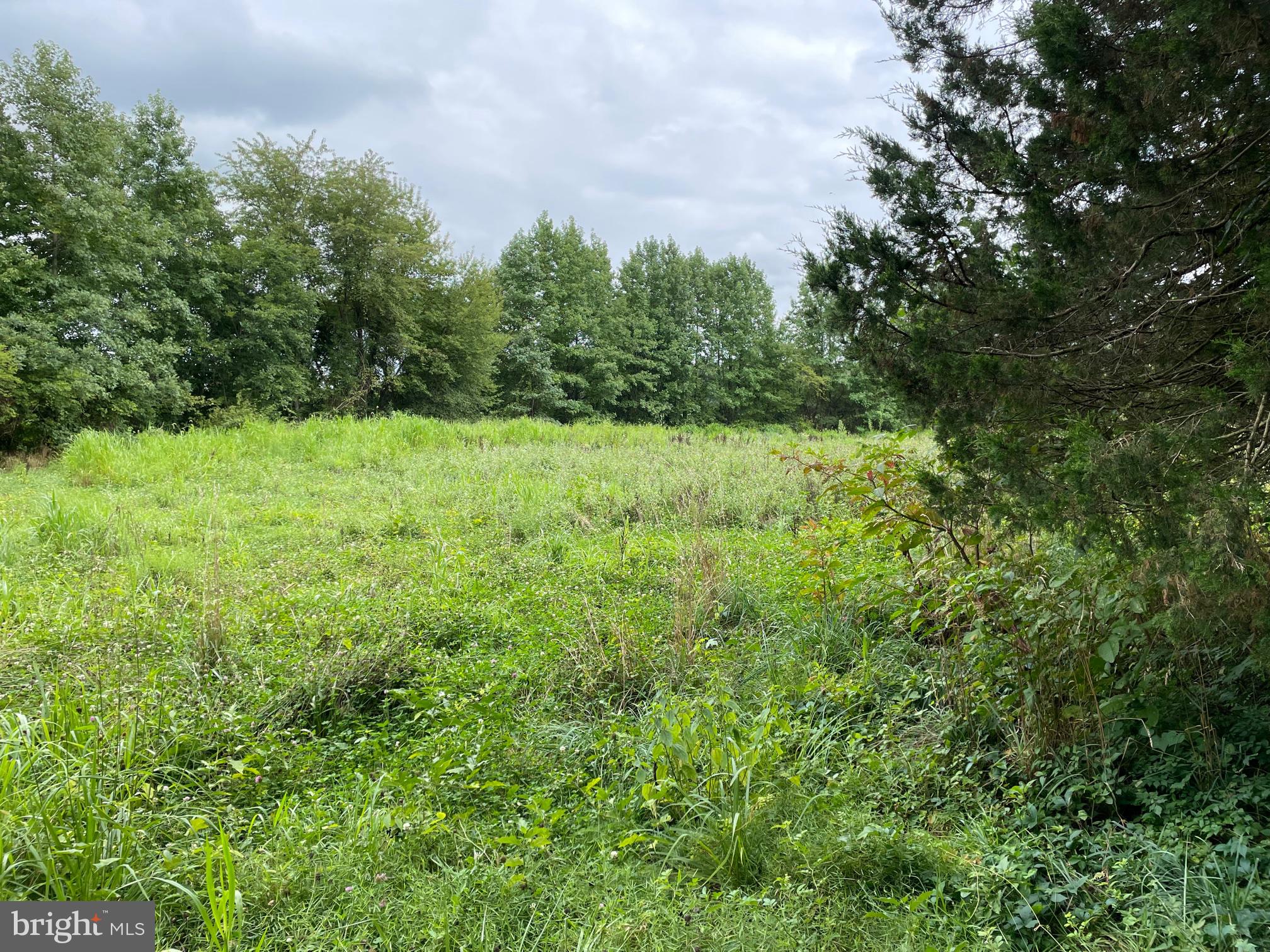 1304 Everett Road Marydel, MD 21649 - Photo 2 of 5 Facing the lot