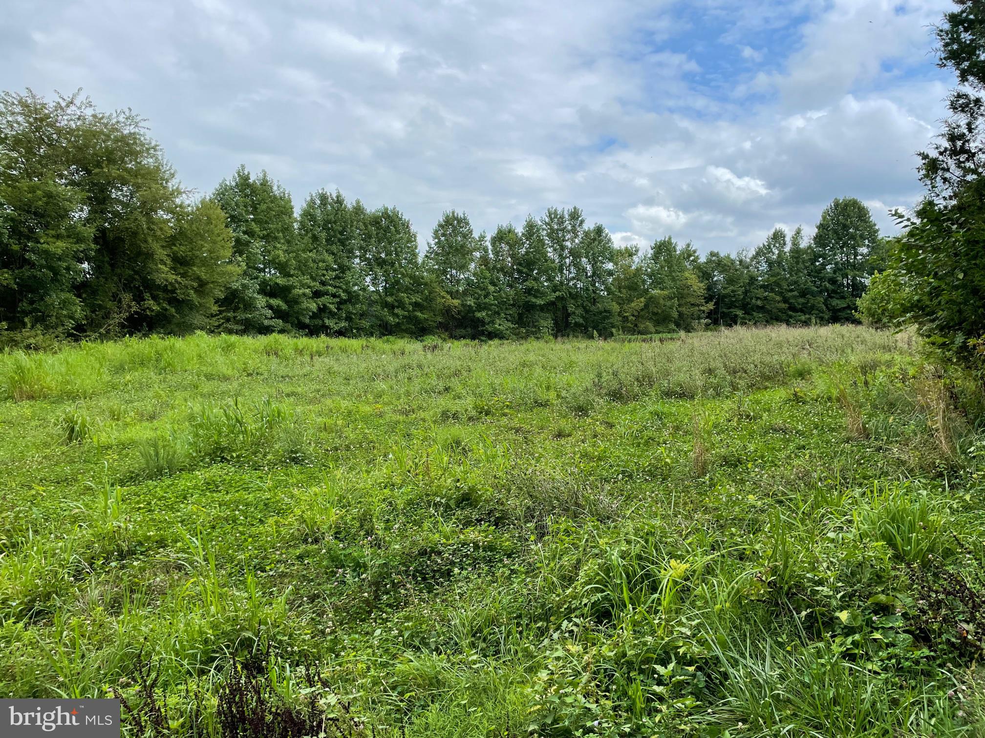 1304 Everett Road Marydel, MD 21649 - Photo 3 of 5 lot