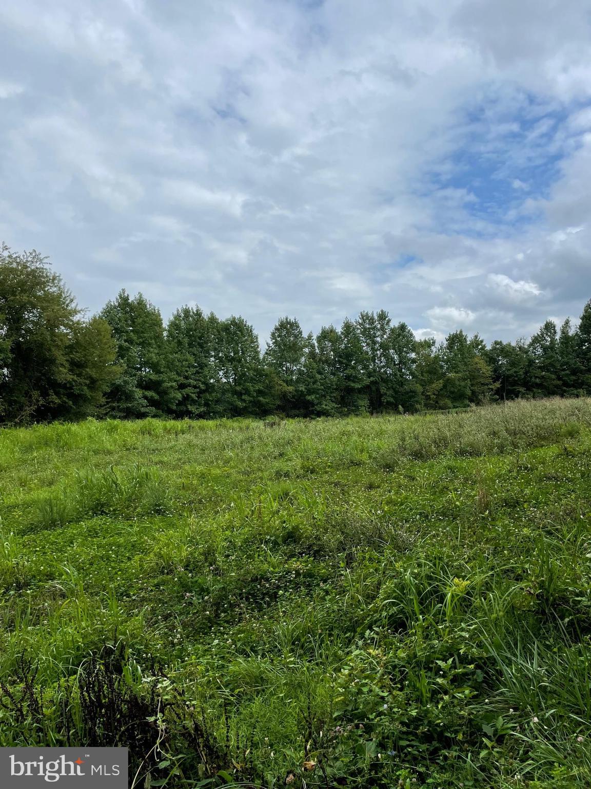 1304 Everett Road Marydel, MD 21649 - Photo 4 of 5 lot
