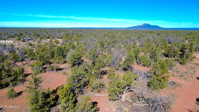 $50,000 | 5690 North Cubby Bear Way, Unit 126, Williams, AZ 86046