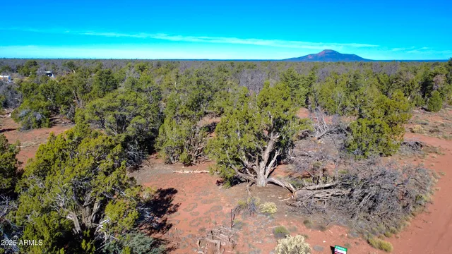 $50,000 | 5690 North Cubby Bear Way, Unit 126, Williams, AZ 86046