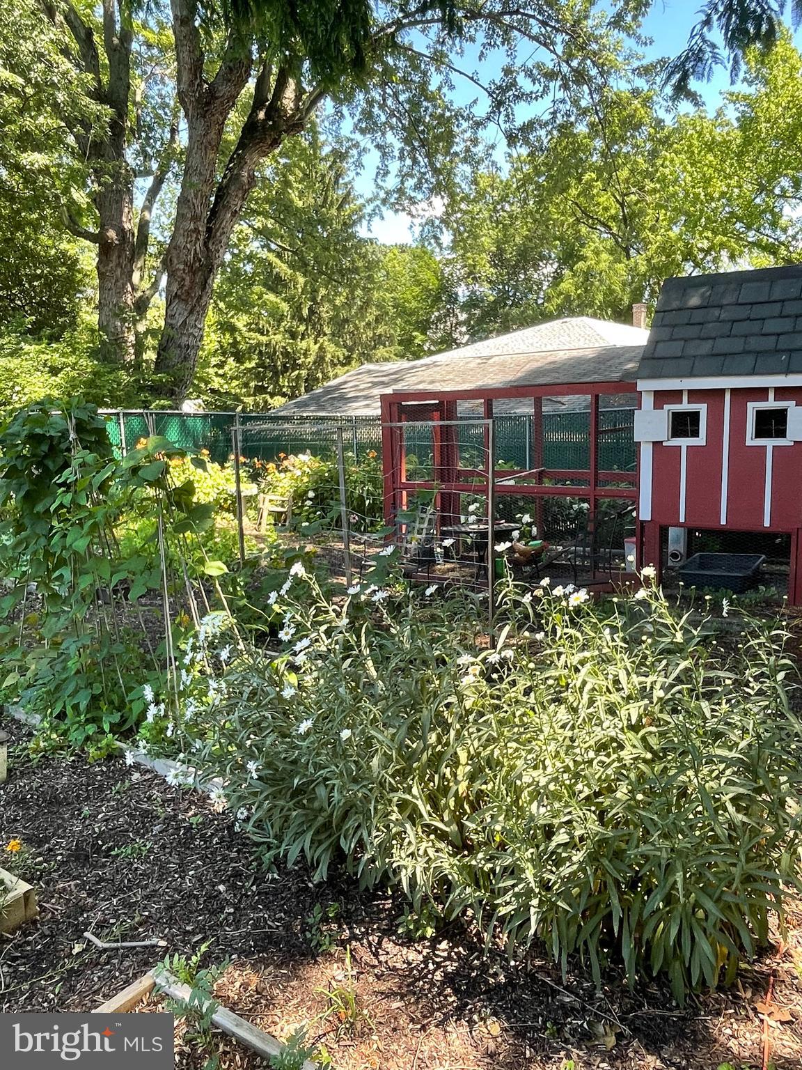 14 Linden Avenue Rutledge, PA 19070 - Photo 26 of 27 Yard in Summer