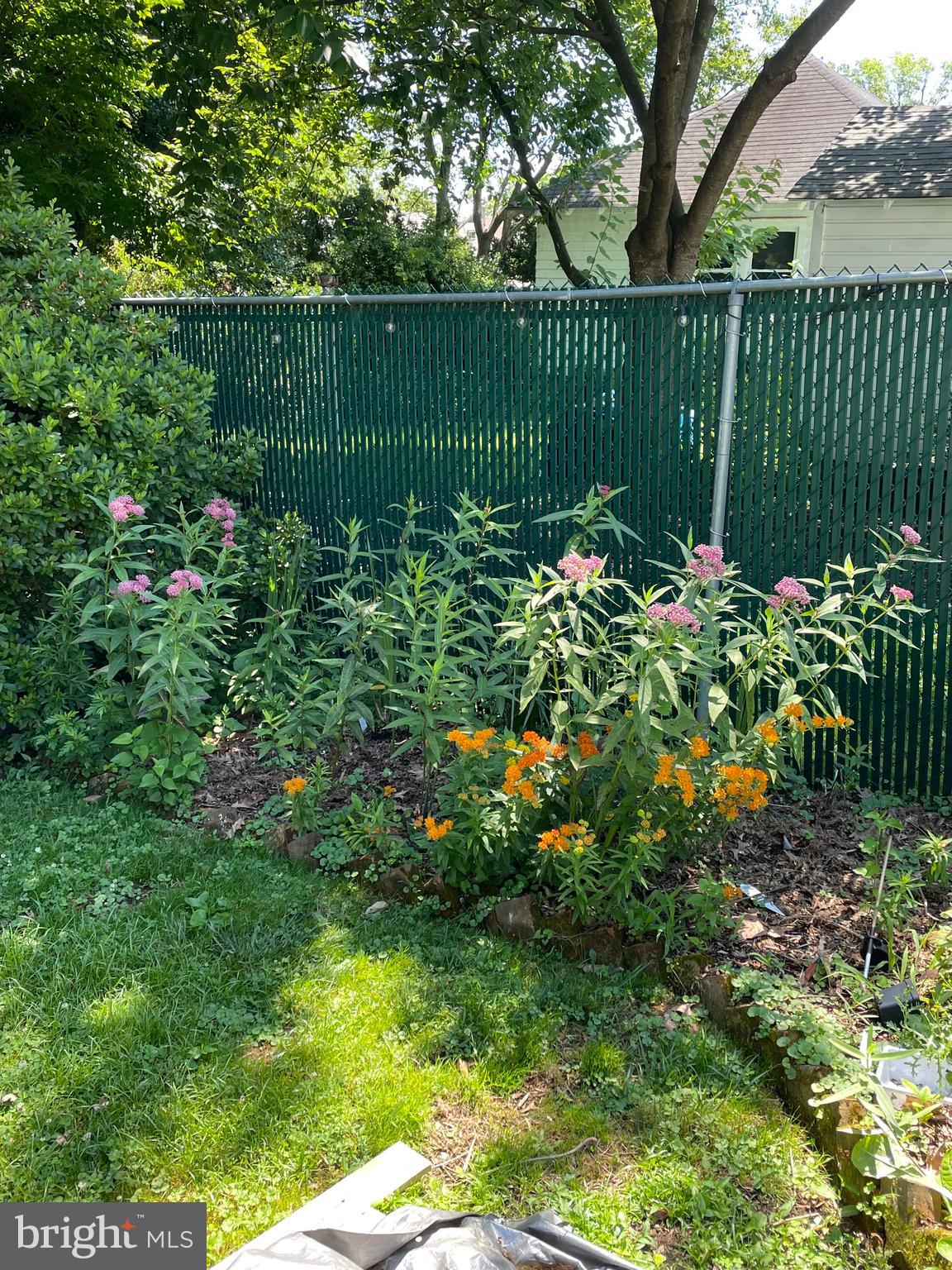 14 Linden Avenue Rutledge, PA 19070 - Photo 27 of 27 Yard in Summer