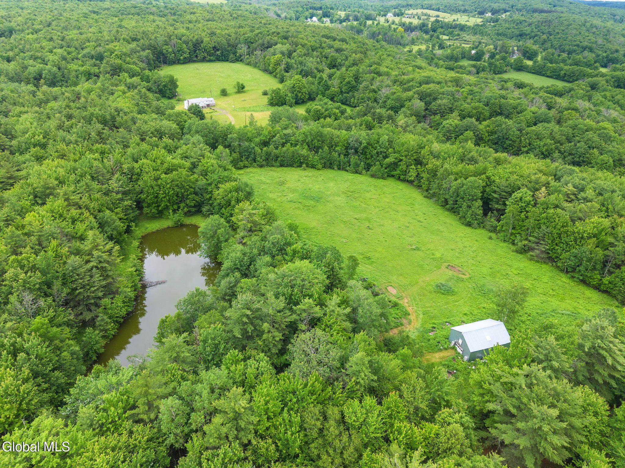 159 Ely Road Gilboa, NY 12076 - Photo 6 of 83 Pond and barn