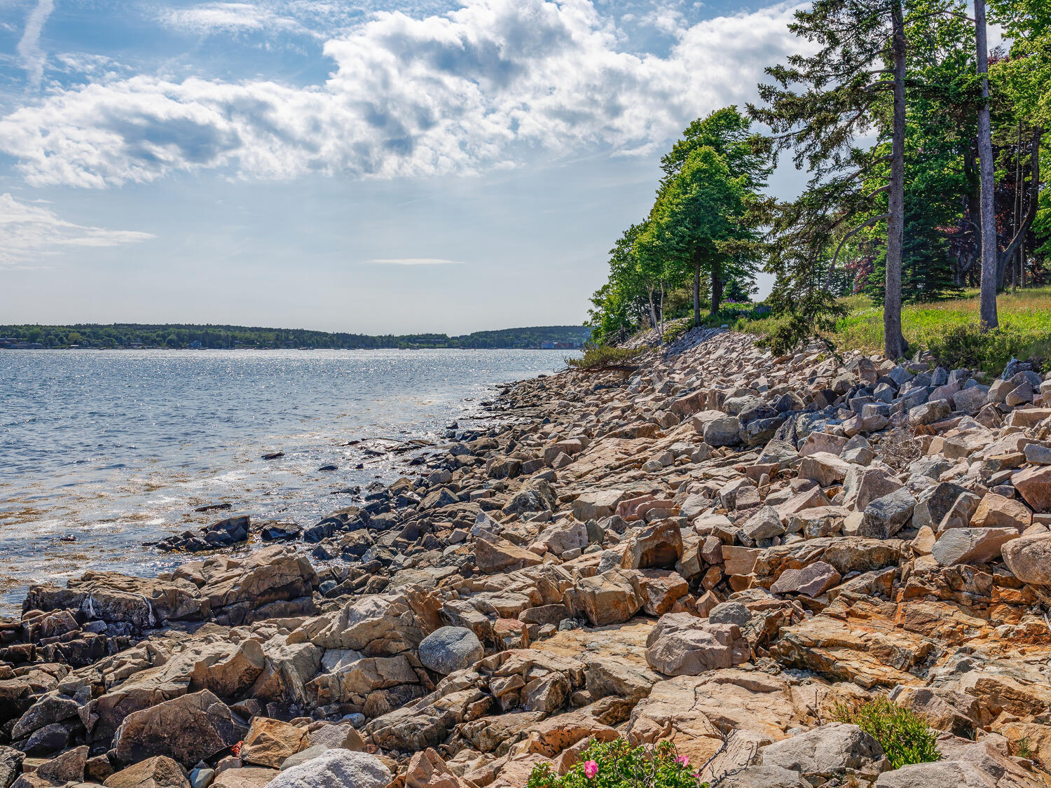 82 Common Lane Northeast Harbor, ME 04662 - Photo 58 of 67 234-Faraway, Greening Island-DTP