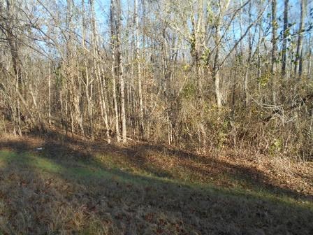 9189 Zebulon Road, Unit 16 Macon, GA 31220 - Photo 3 of 6 Additional Photo