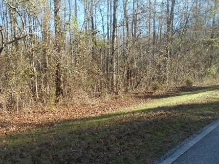 9189 Zebulon Road, Unit 16 Macon, GA 31220 - Photo 4 of 6 Additional Photo
