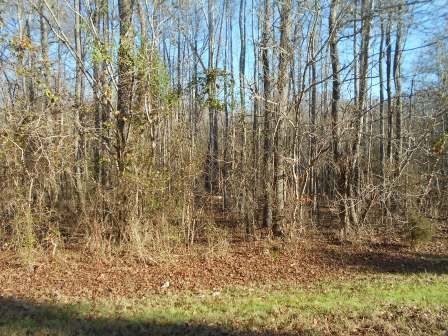 9189 Zebulon Road, Unit 16 Macon, GA 31220 - Photo 5 of 6 Additional Photo