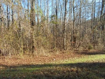 9189 Zebulon Road, Unit 16 Macon, GA 31220 - Photo 6 of 6 Additional Photo