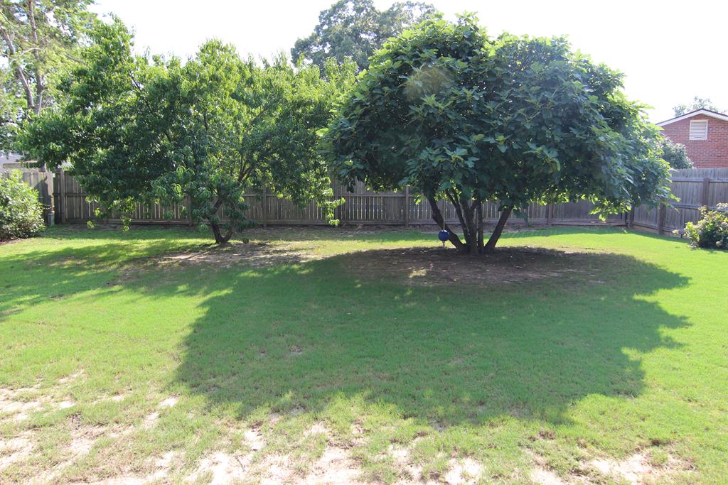 6180 Candlestick Loop Columbus, GA 31909 - Photo 27 of 28 PEACH AND FIG TREES