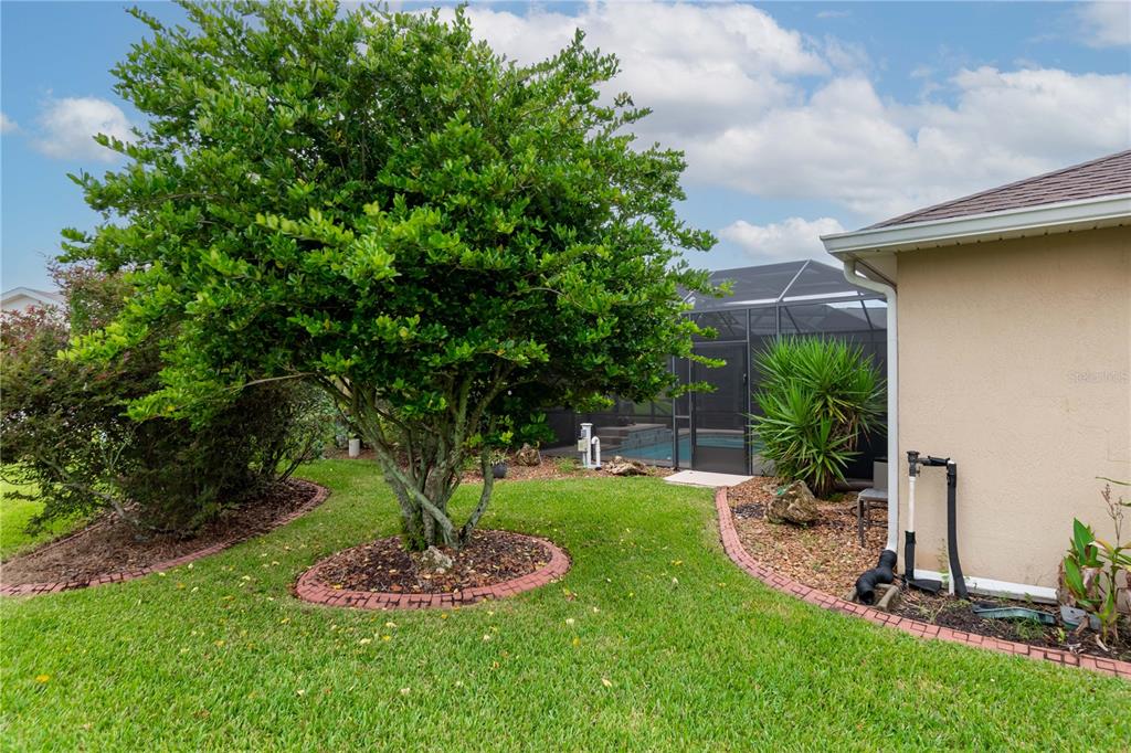 15692 Southwest 11th Court Road Ocala, FL 34473 - Photo 8 of 49 a view of a backyard with table and chairs and potted plants
