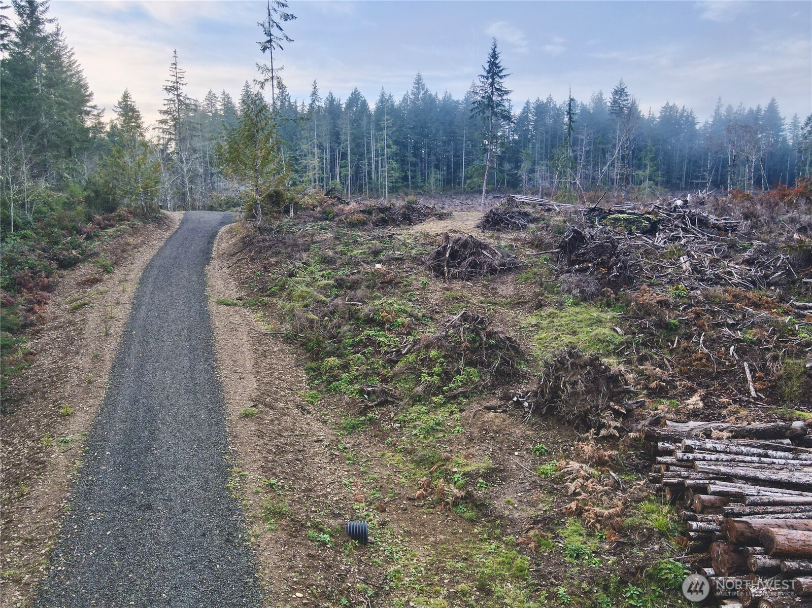255 East Solbakk Veien Road Shelton, WA 98584 - Photo 13 of 34 a view of a yard with trees in the background