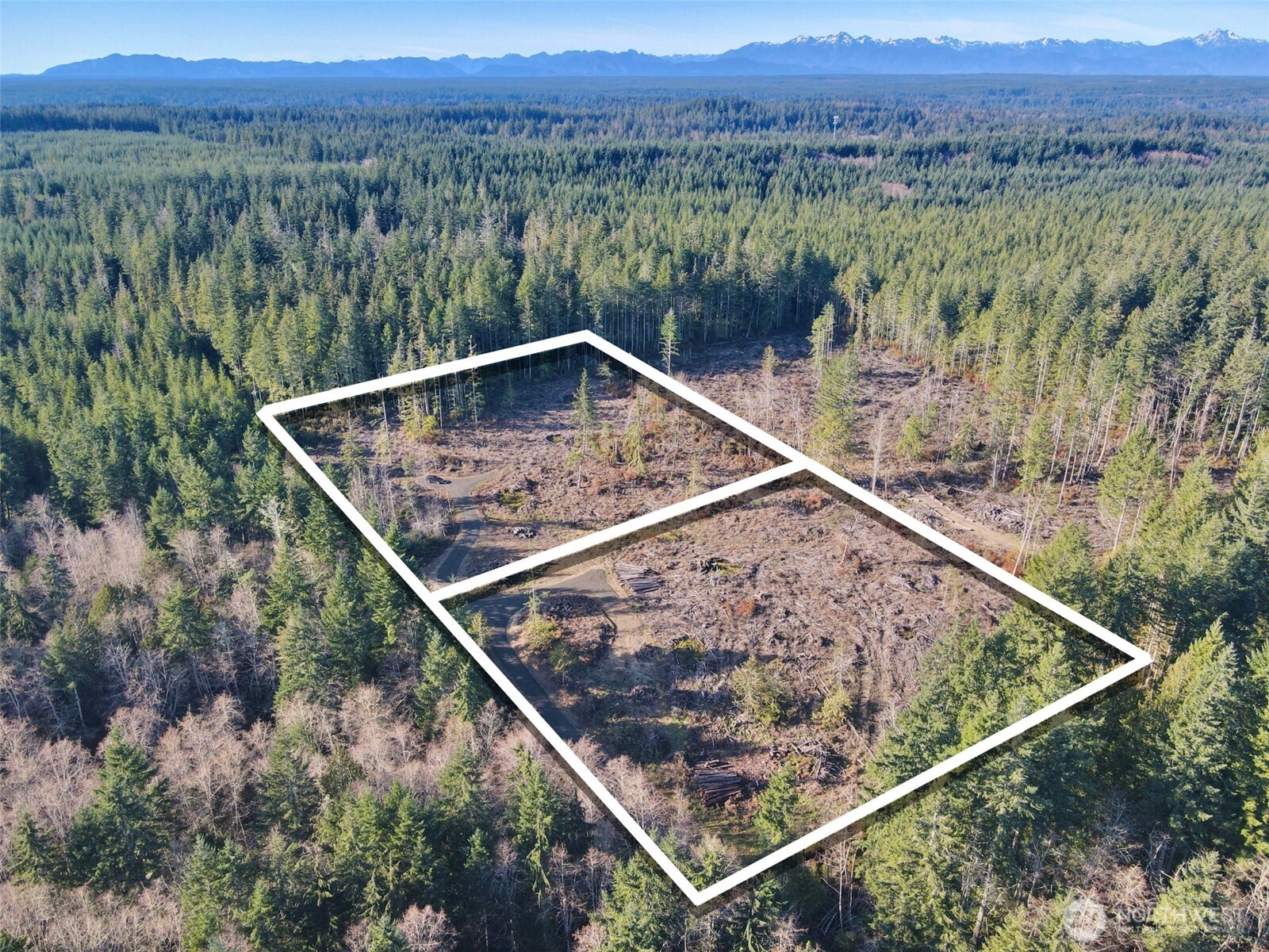 255 East Solbakk Veien Road Shelton, WA 98584 - Photo 17 of 34 a view of a lush green forest from a balcony