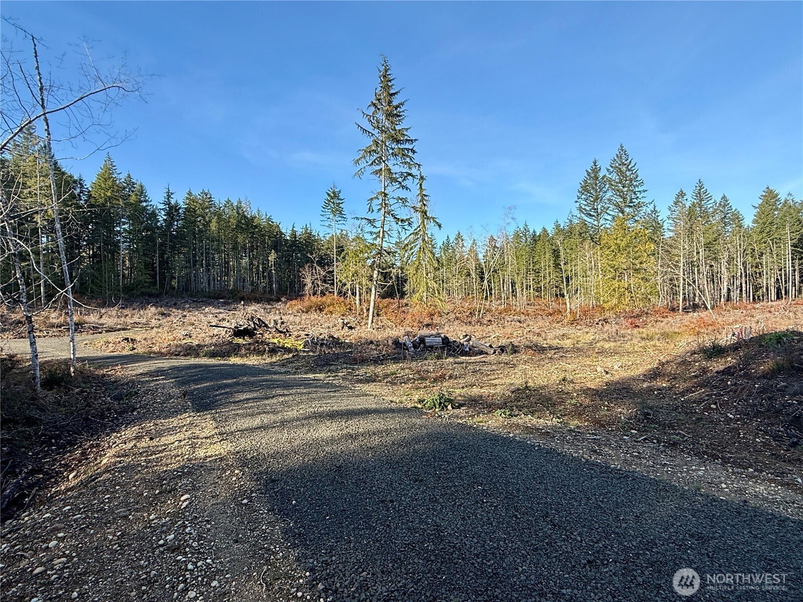 255 East Solbakk Veien Road Shelton, WA 98584 - Photo 21 of 34 a view of a yard with a tree