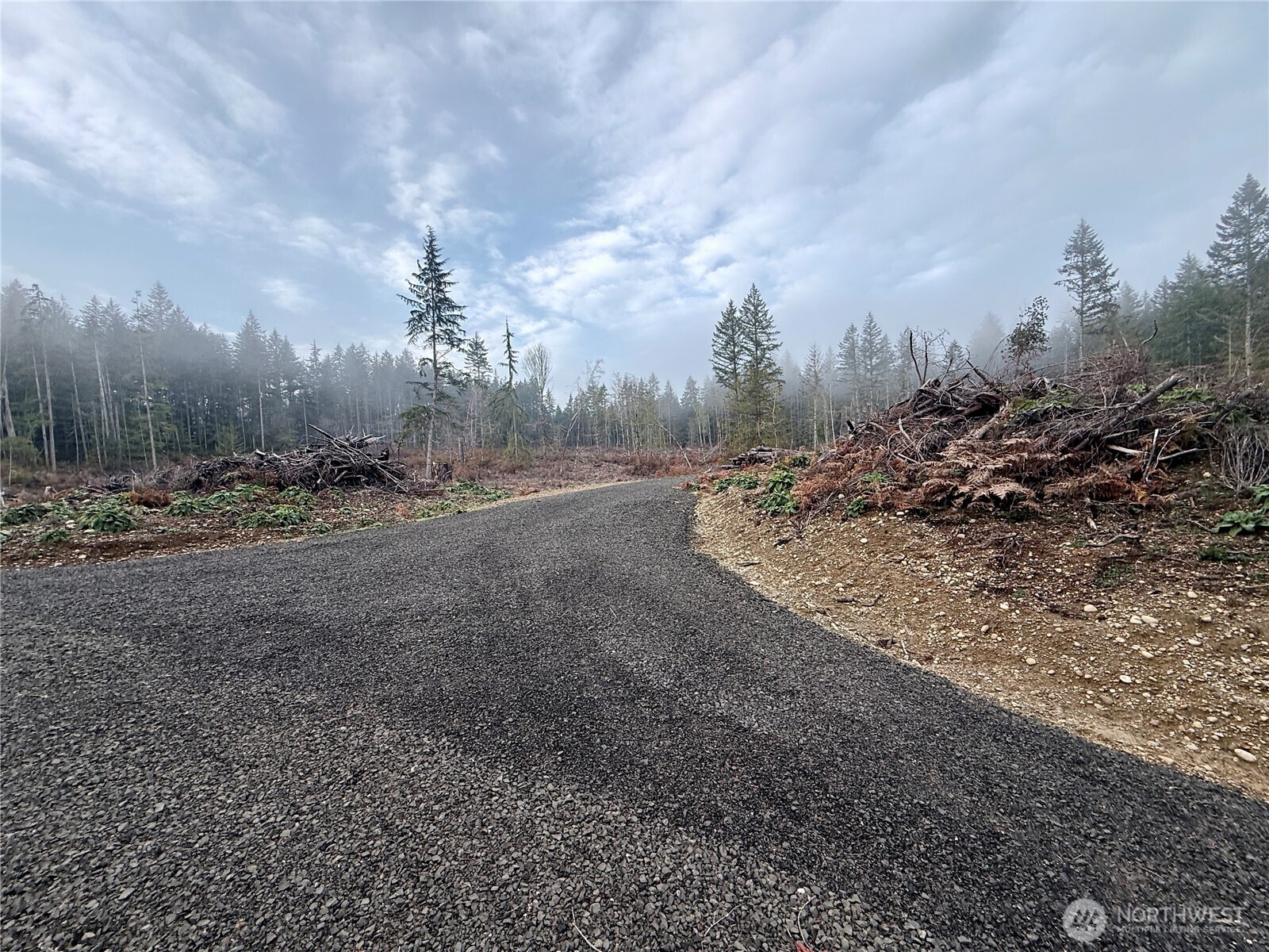 255 East Solbakk Veien Road Shelton, WA 98584 - Photo 22 of 34 a view of a dirt field with lots of bushes