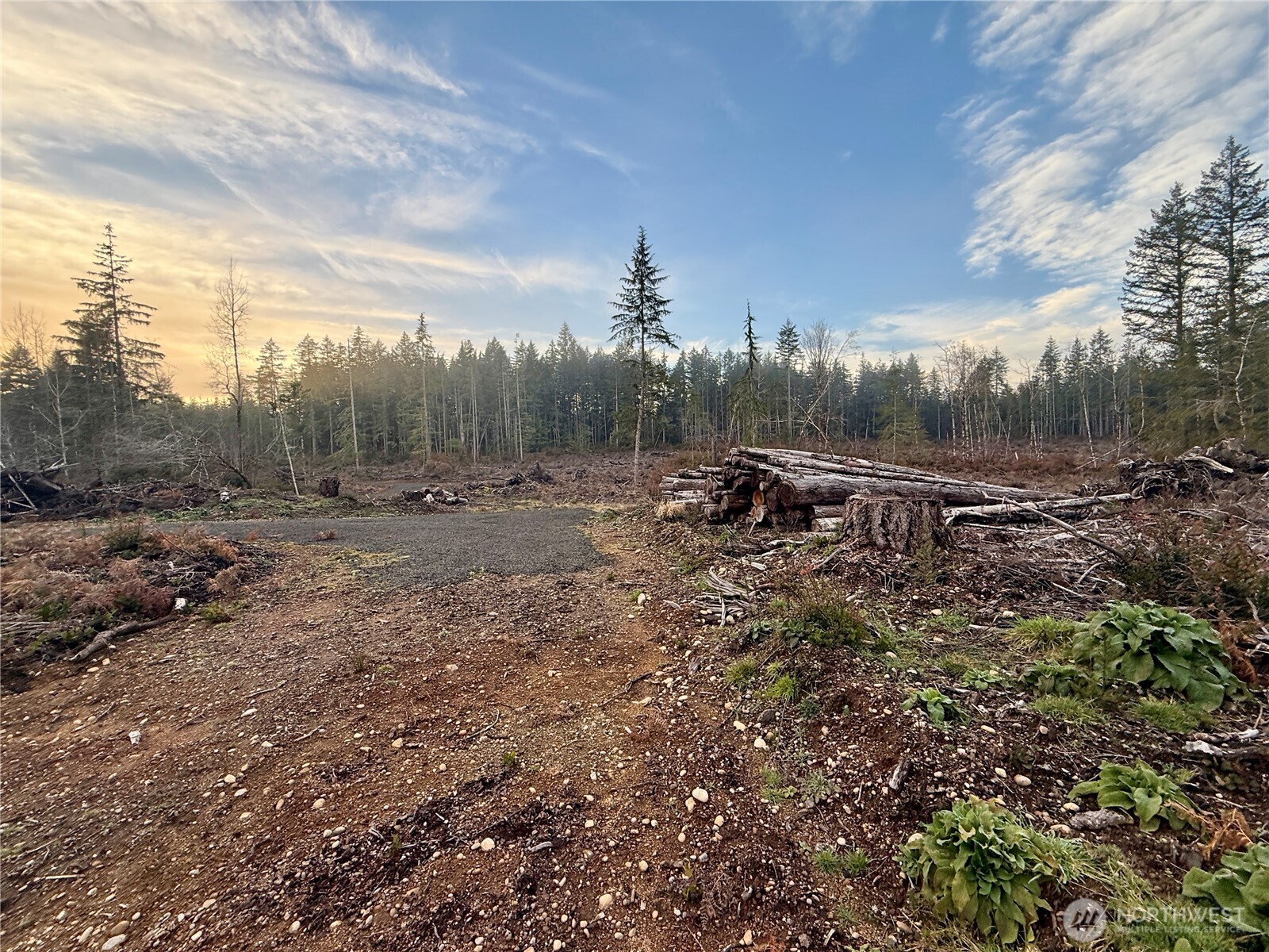 255 East Solbakk Veien Road Shelton, WA 98584 - Photo 29 of 34 a view of outdoor space with green space