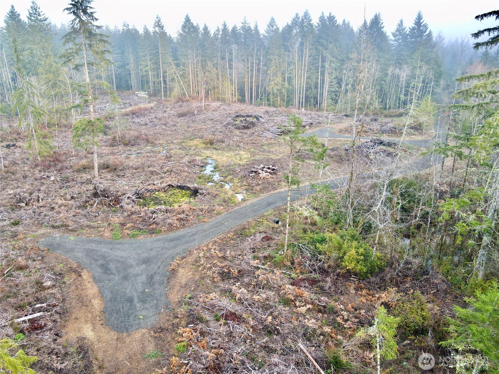 255 East Solbakk Veien Road Shelton, WA 98584 - Photo 30 of 34 a view of a yard with trees
