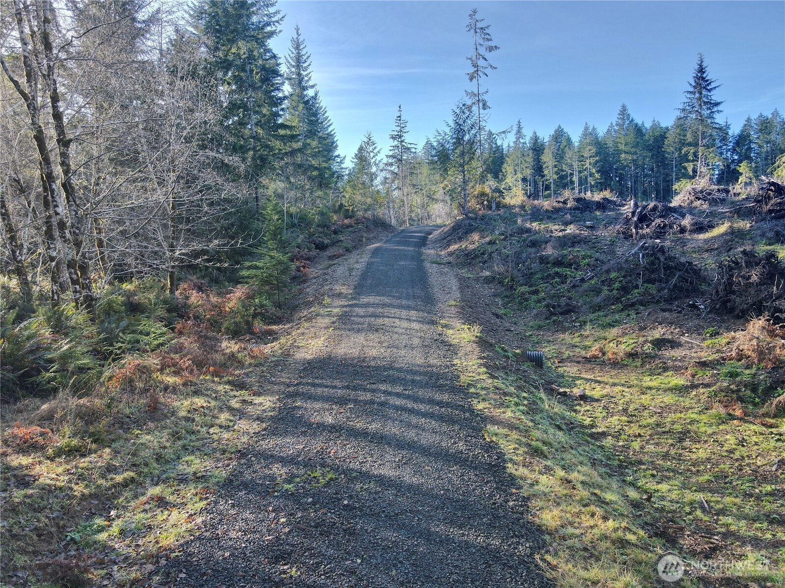 255 East Solbakk Veien Road Shelton, WA 98584 - Photo 31 of 34 a view of a yard with trees in the background