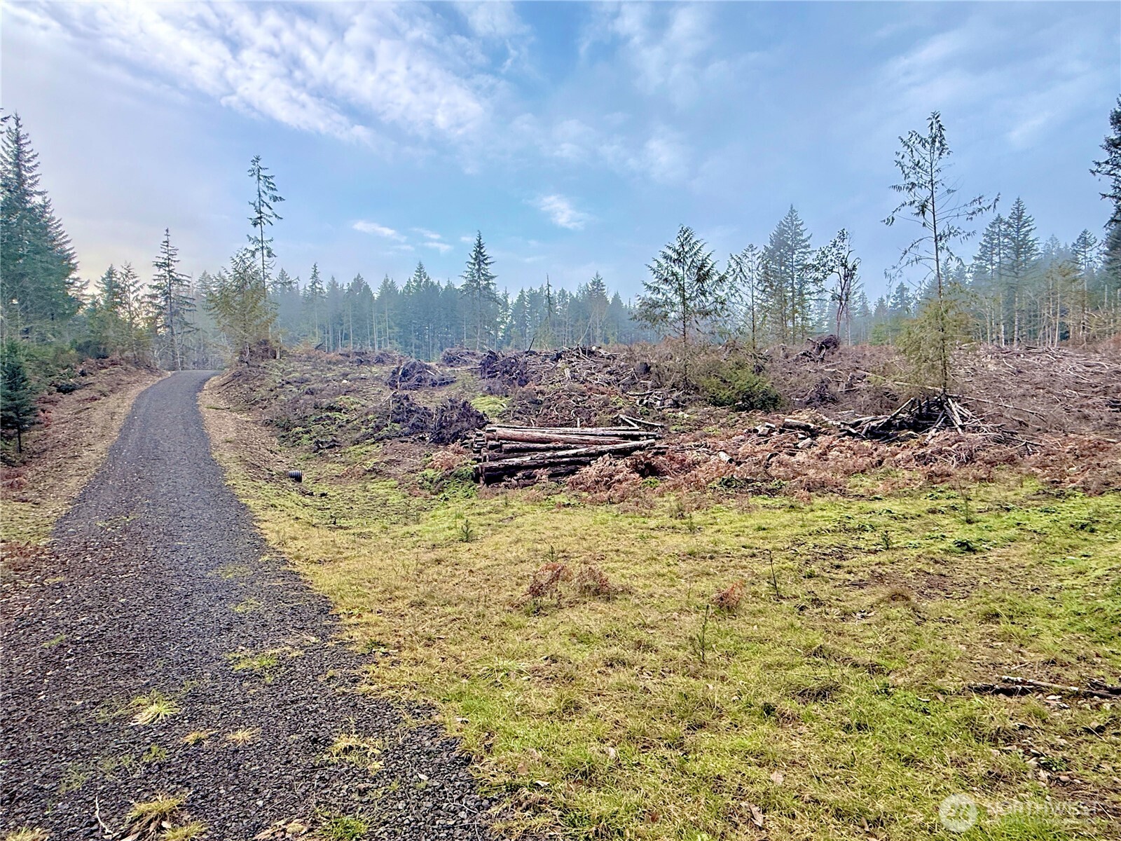255 East Solbakk Veien Road Shelton, WA 98584 - Photo 32 of 34 a view of a yard with an trees
