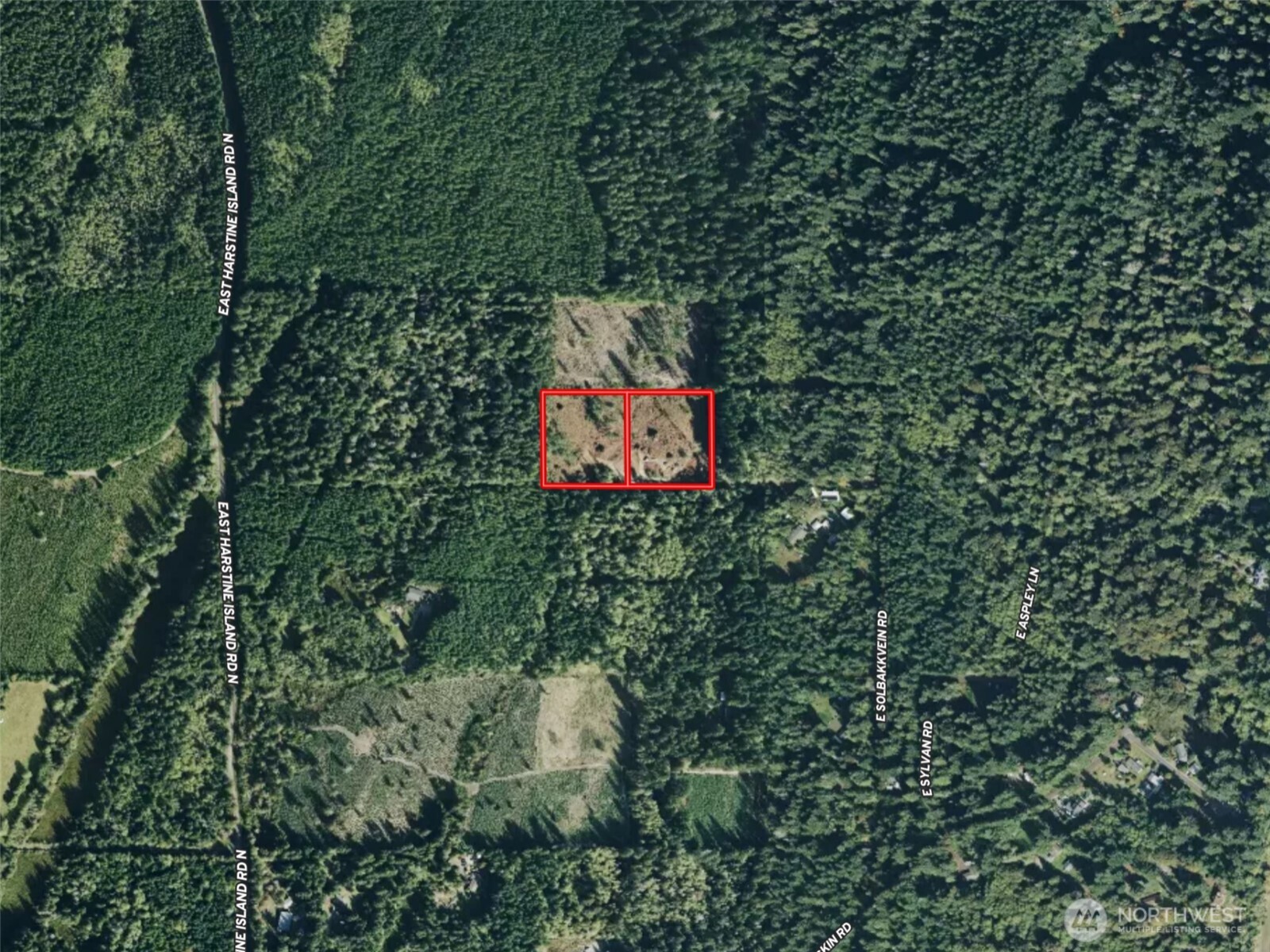 255 East Solbakk Veien Road Shelton, WA 98584 - Photo 34 of 34 a sign that is sitting in the middle of a forest