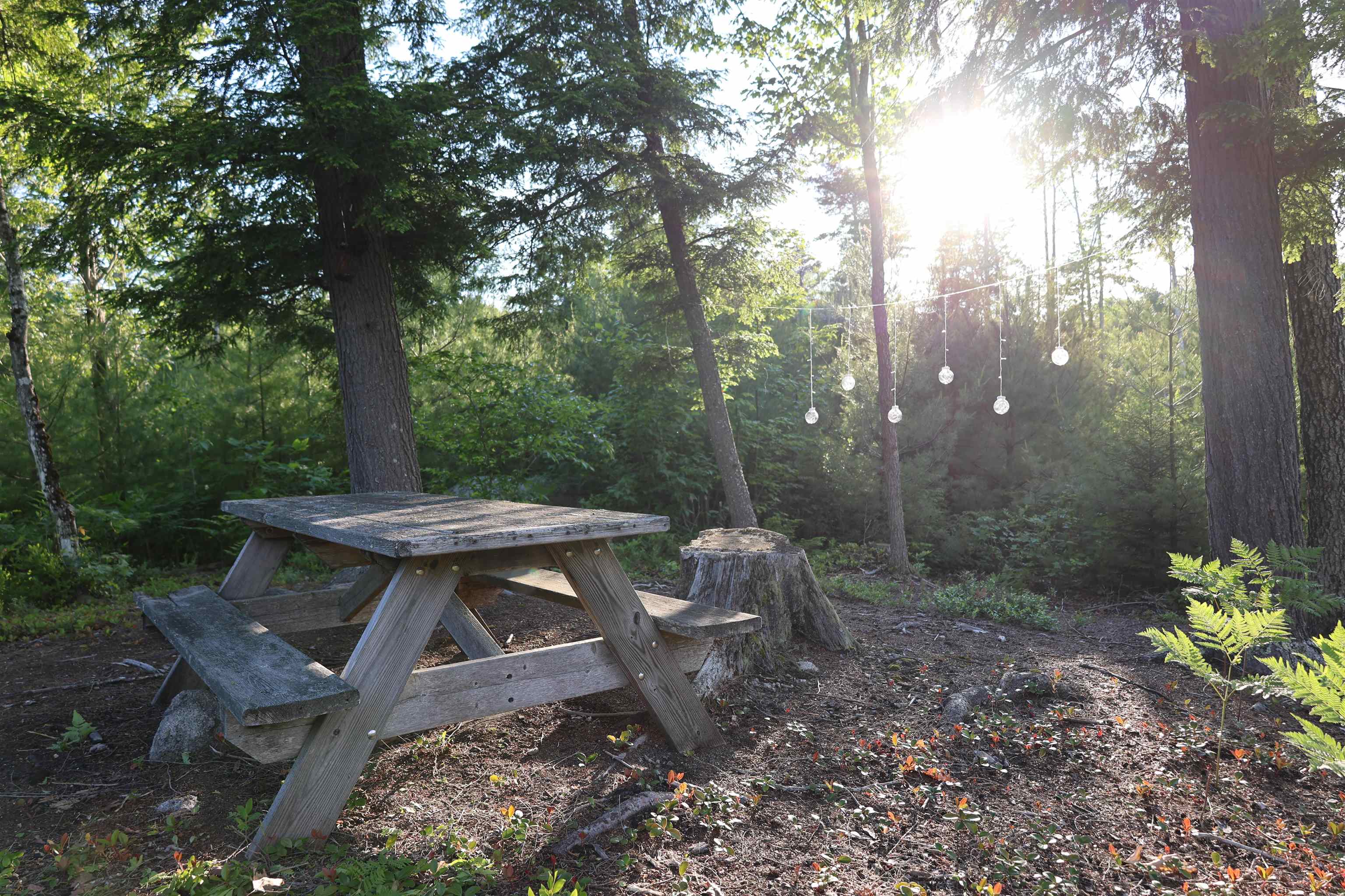 235 Middle Road Deerfield, NH 03037 - Photo 58 of 60