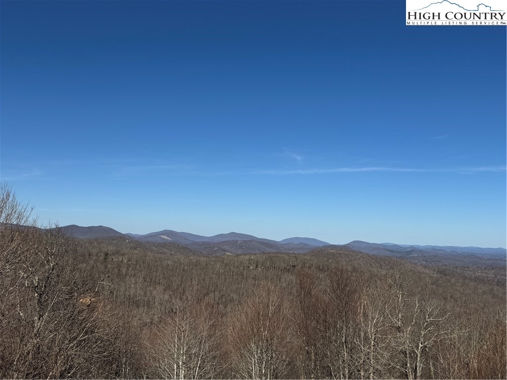 Lot 6 Boone Ridge Lane Boone, NC 28607 - Photo 2 of 3