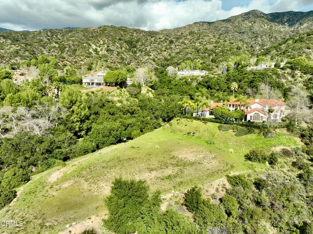 a view of a big yard with lots of bushes and green space