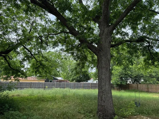 a view of green field with a tree