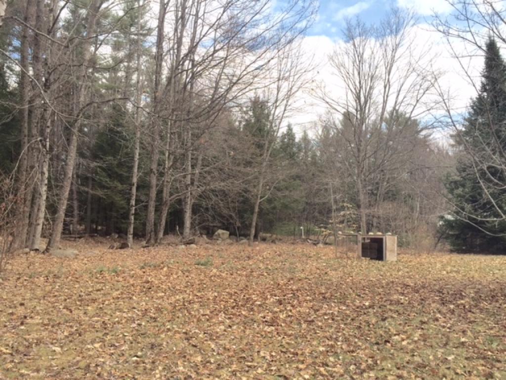 1245 Province Lake Road Wakefield, NH 03830 - Photo 6 of 19 Gallery Image 6