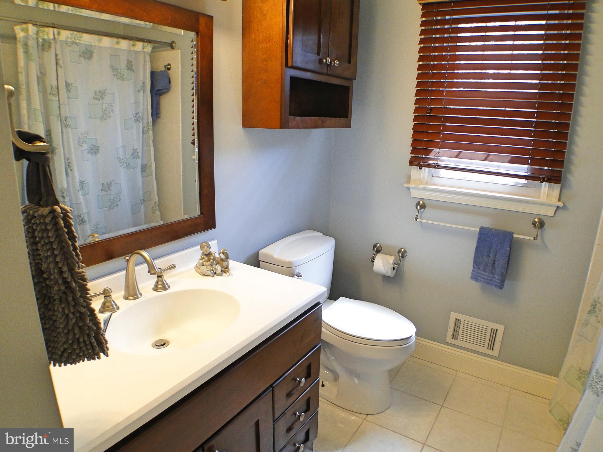 532 Painter Road Media, PA 19063 - Photo 22 of 59 Main Bathroom