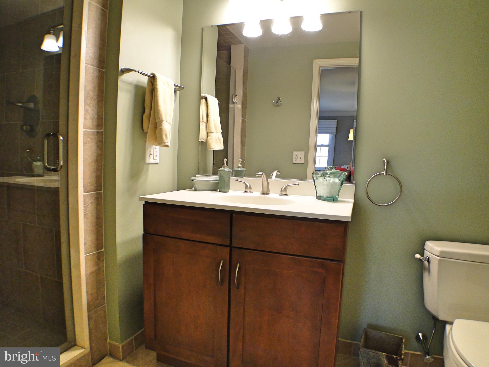 532 Painter Road Media, PA 19063 - Photo 29 of 59 Full bath in Guest Suite