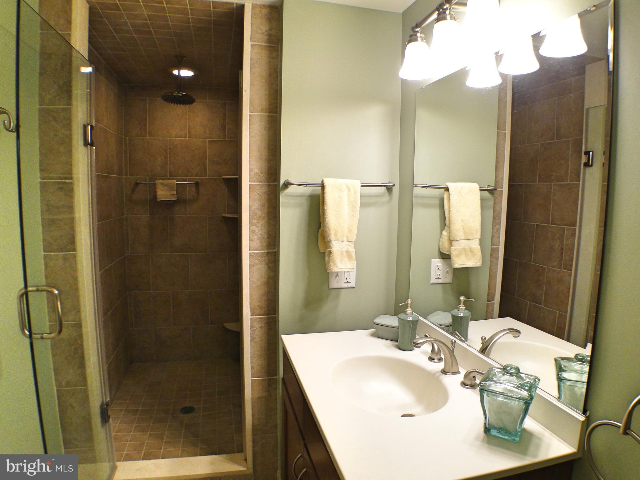 532 Painter Road Media, PA 19063 - Photo 30 of 59 Guest Suite Full Bathroom with deep walk-in shower