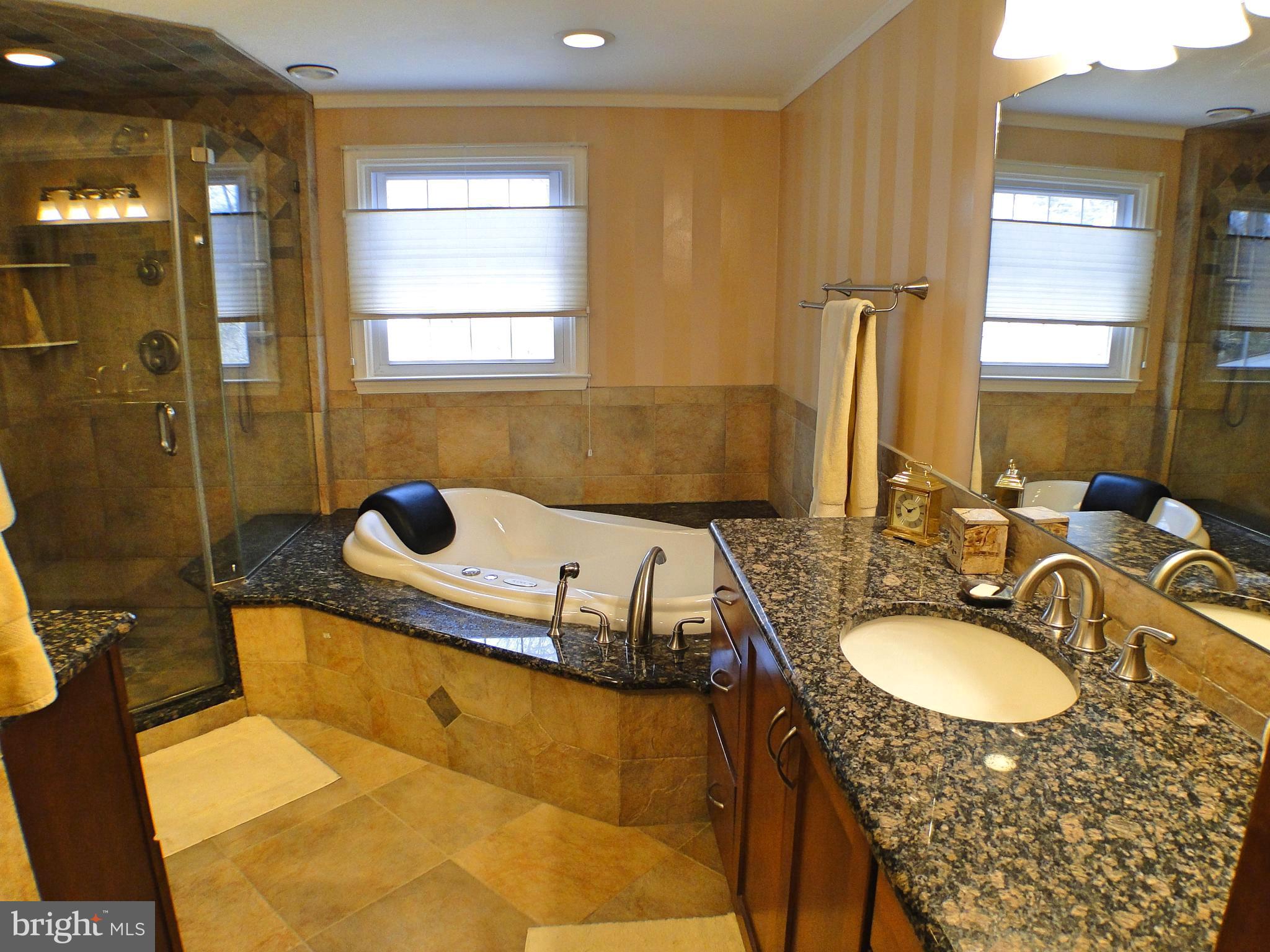 532 Painter Road Media, PA 19063 - Photo 34 of 59 Large Master Bath