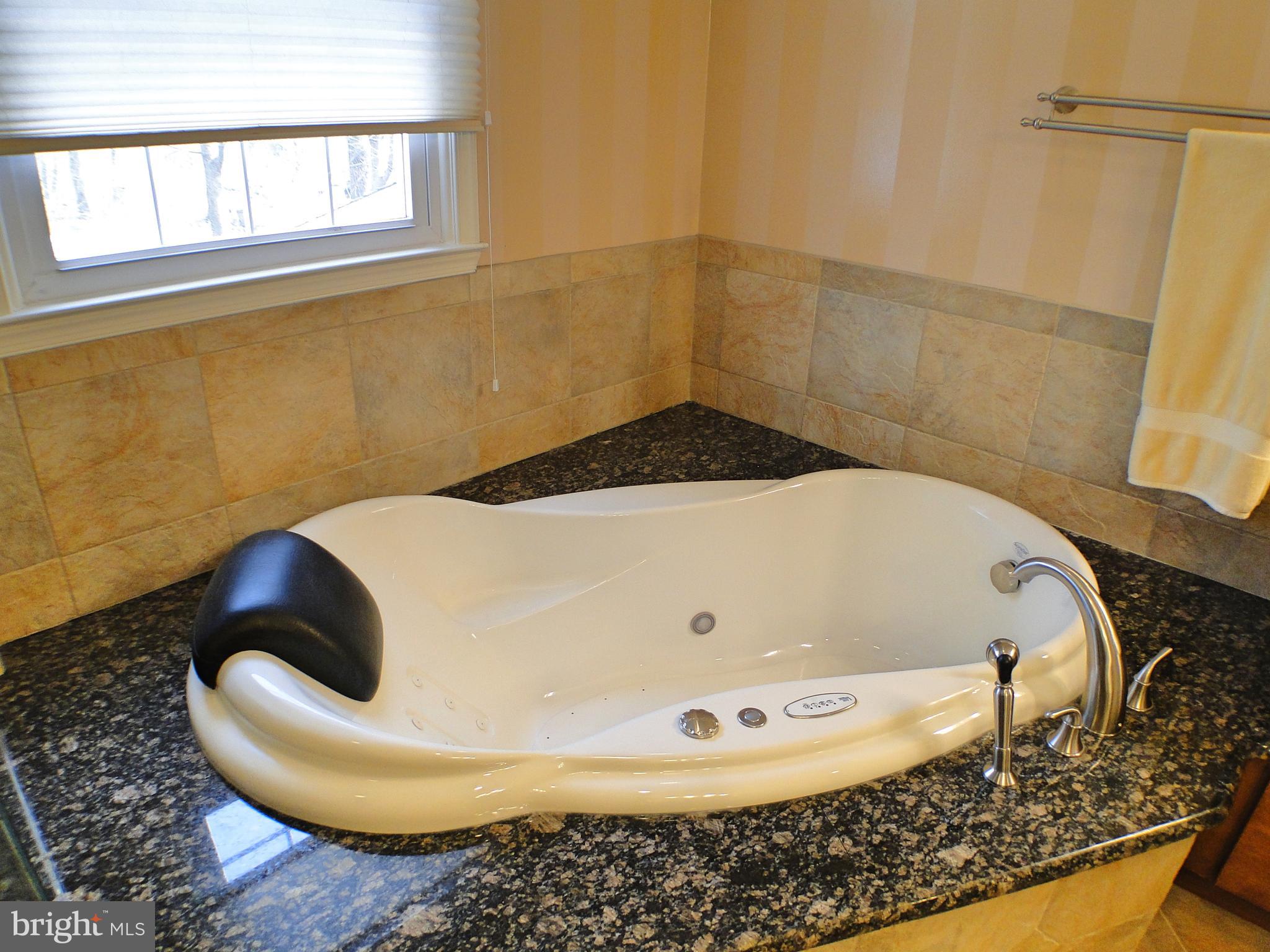 532 Painter Road Media, PA 19063 - Photo 36 of 59 Large soaking tub