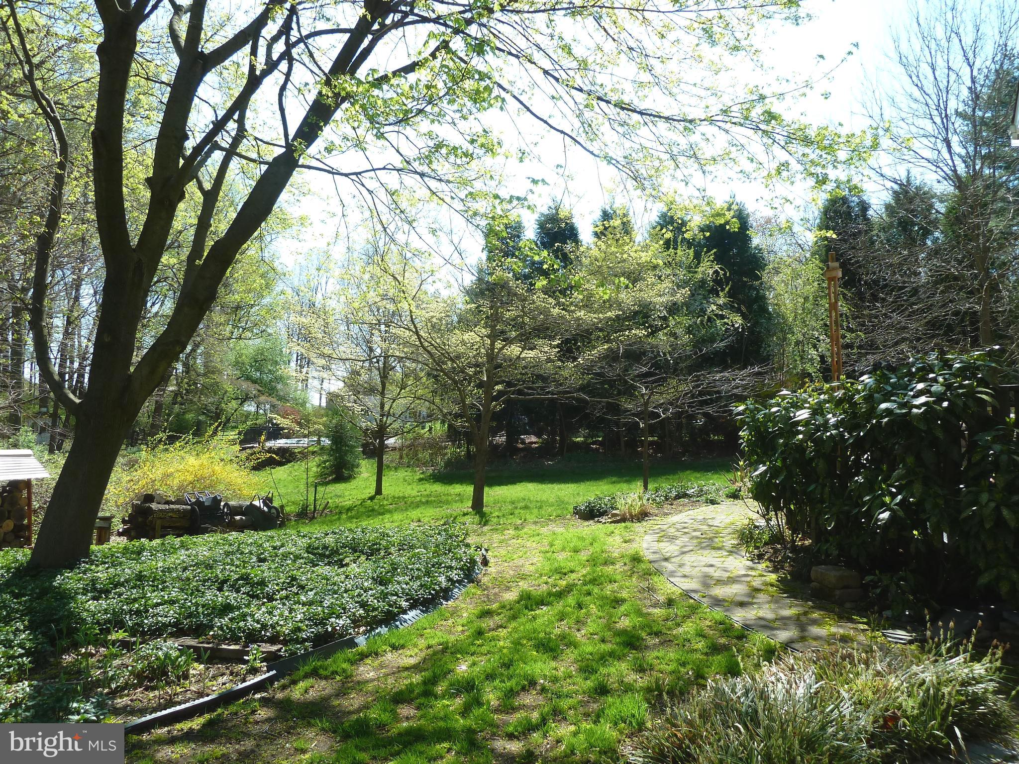 532 Painter Road Media, PA 19063 - Photo 49 of 59 Back Yard @ 532 Painter Road, Media