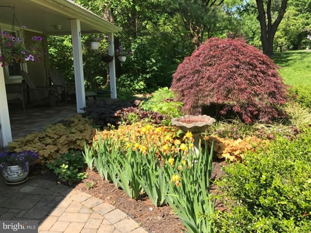 532 Painter Road Media, PA 19063 - Photo 6 of 59 Front yard in bloom - seasonal photo