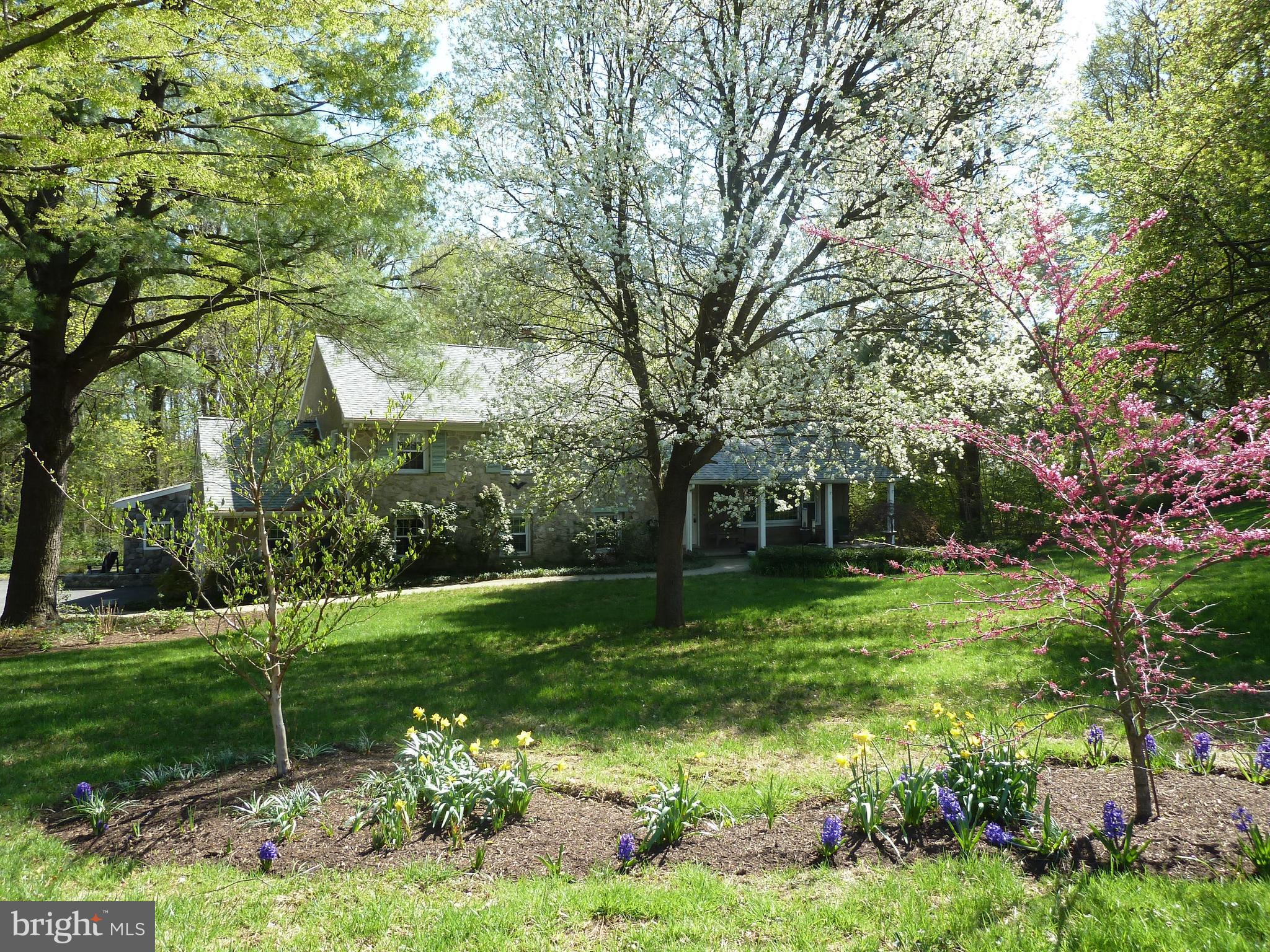 532 Painter Road Media, PA 19063 - Photo 59 of 59 Spring is in the air @ 532 Painter Road, Media