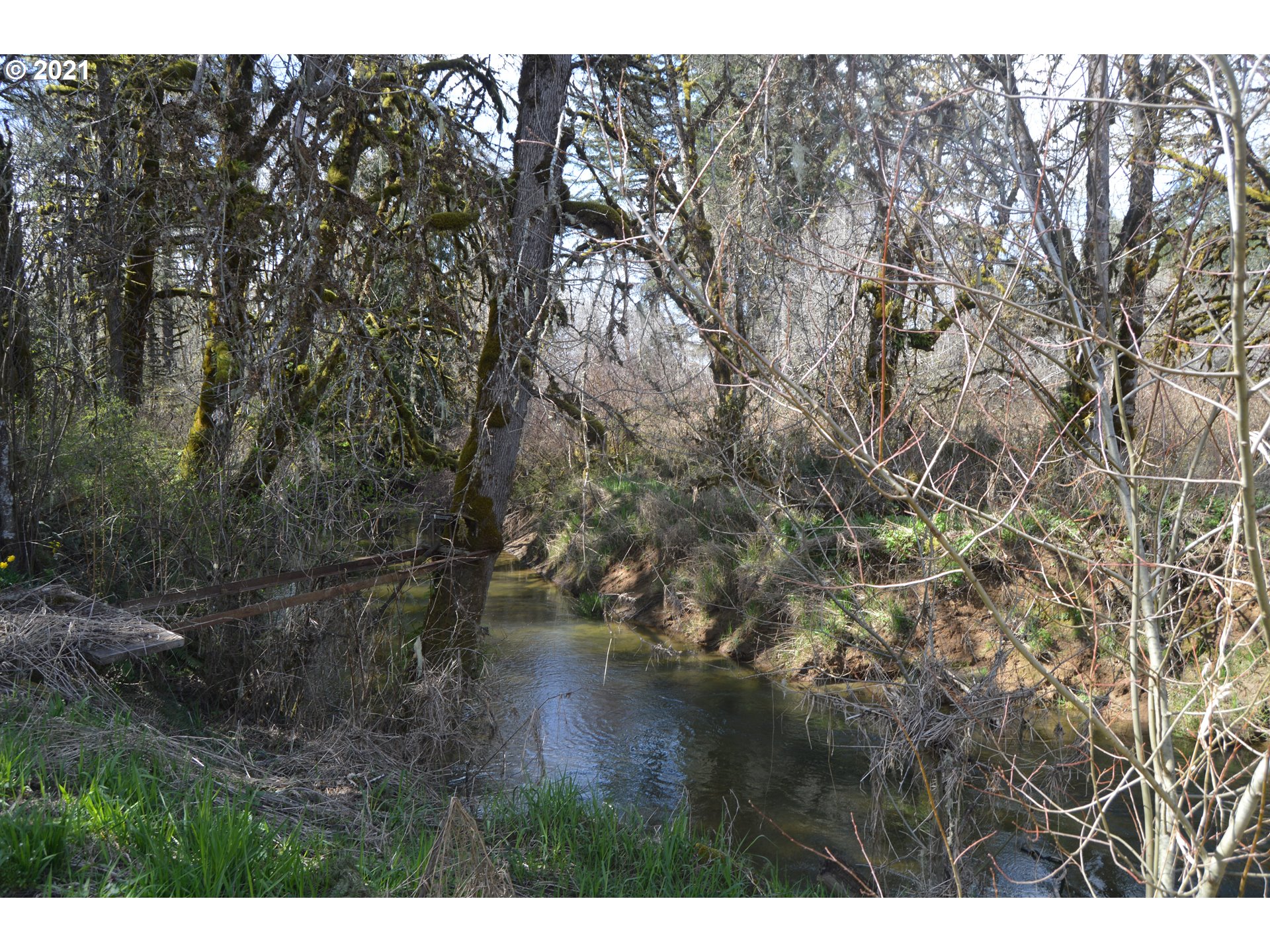 93574 Horton Road Blachly, OR 97412 - Photo 12 of 32 Gallery Image 12