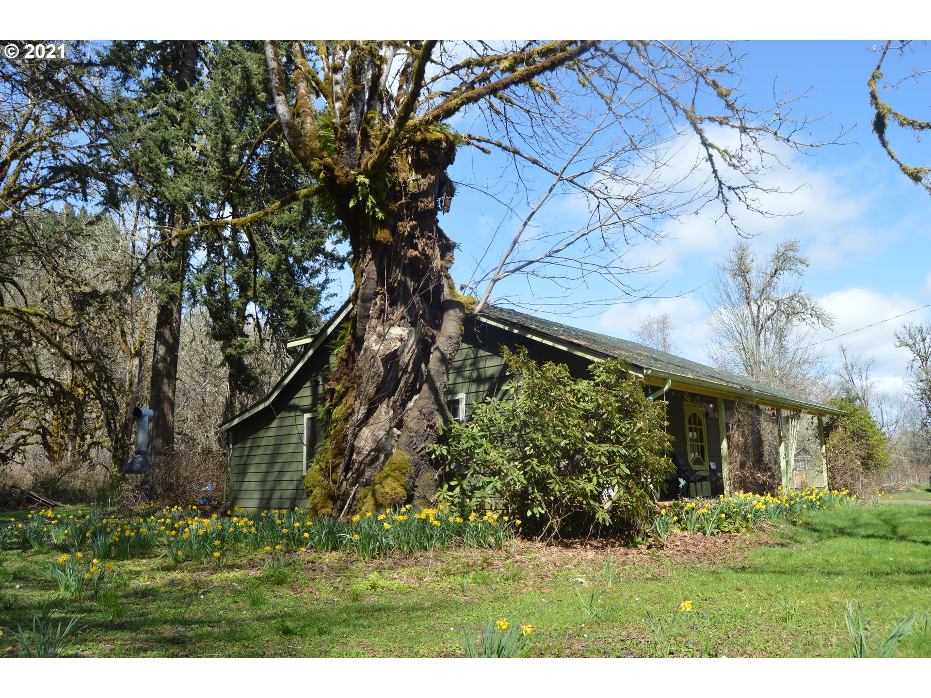 93574 Horton Road Blachly, OR 97412 - Photo 7 of 32 Gallery Image 7