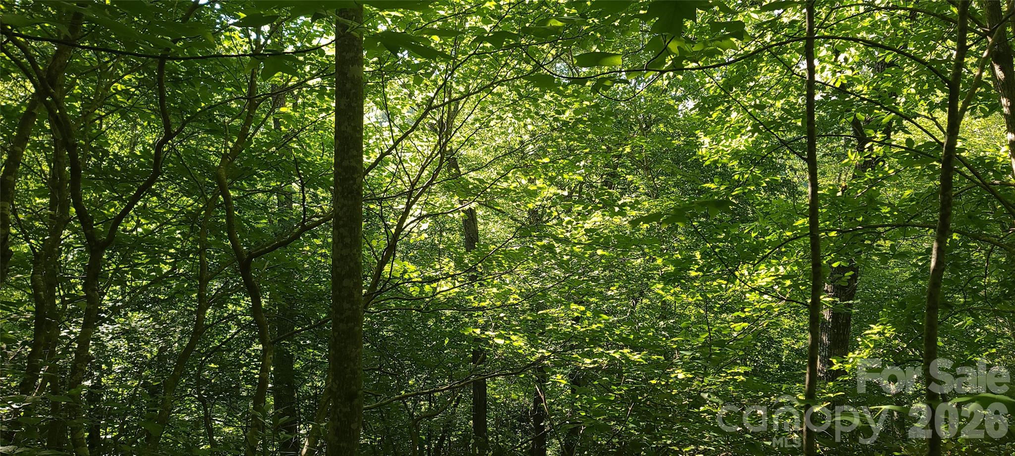 Lot#19 Mill Creek Road Old Fort, NC 28762 - Photo 6 of 13